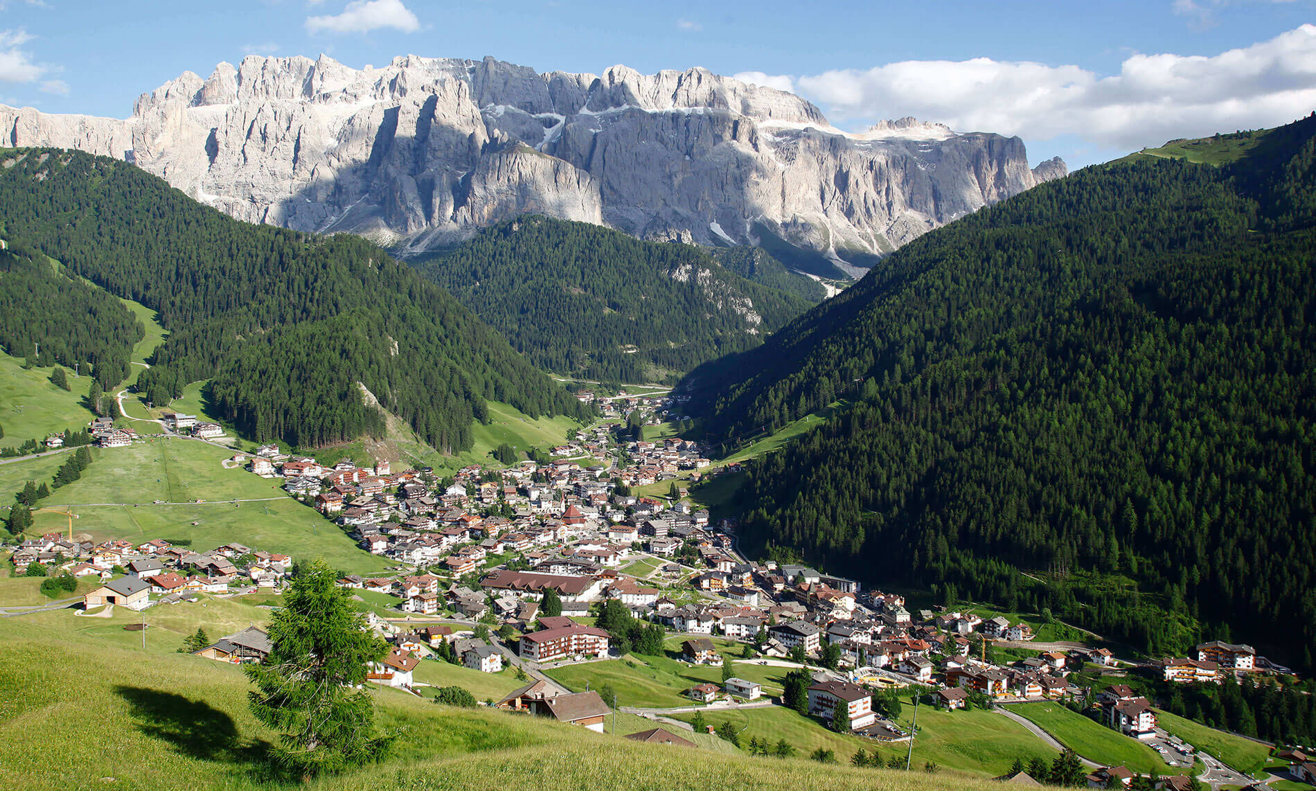daunei